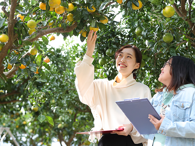 静大農学部での学び